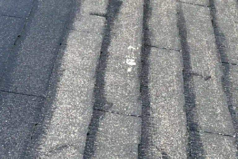 退色