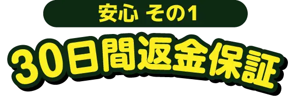 安心その1 30日間返金保証